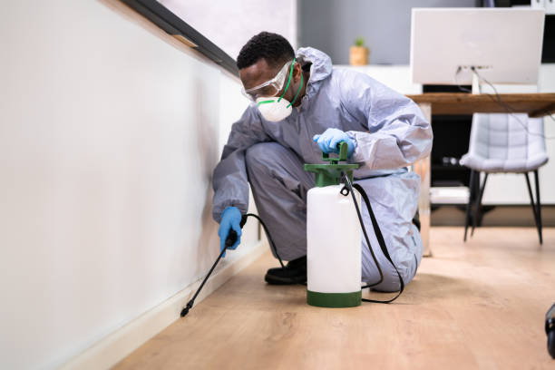 Best Pest Prevention Services  in Carrizo Hill, TX